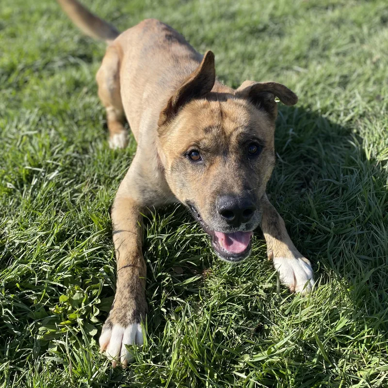 Freddie Gci Graduate!! thumbnail 5