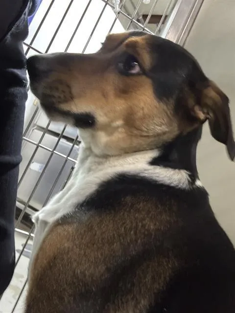 Max