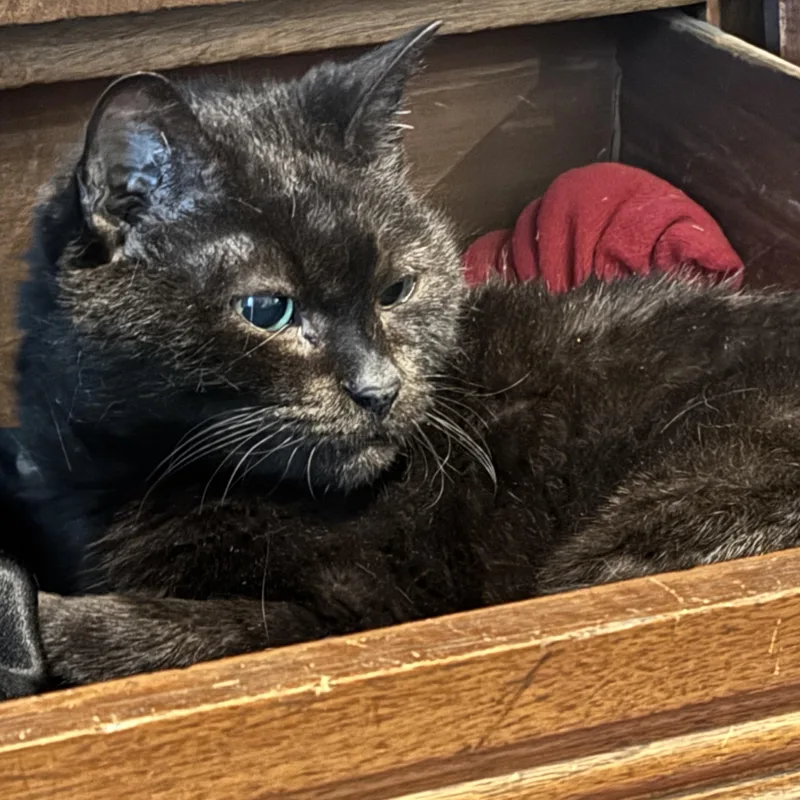 Milk Crate Courtesy Listing thumbnail 2