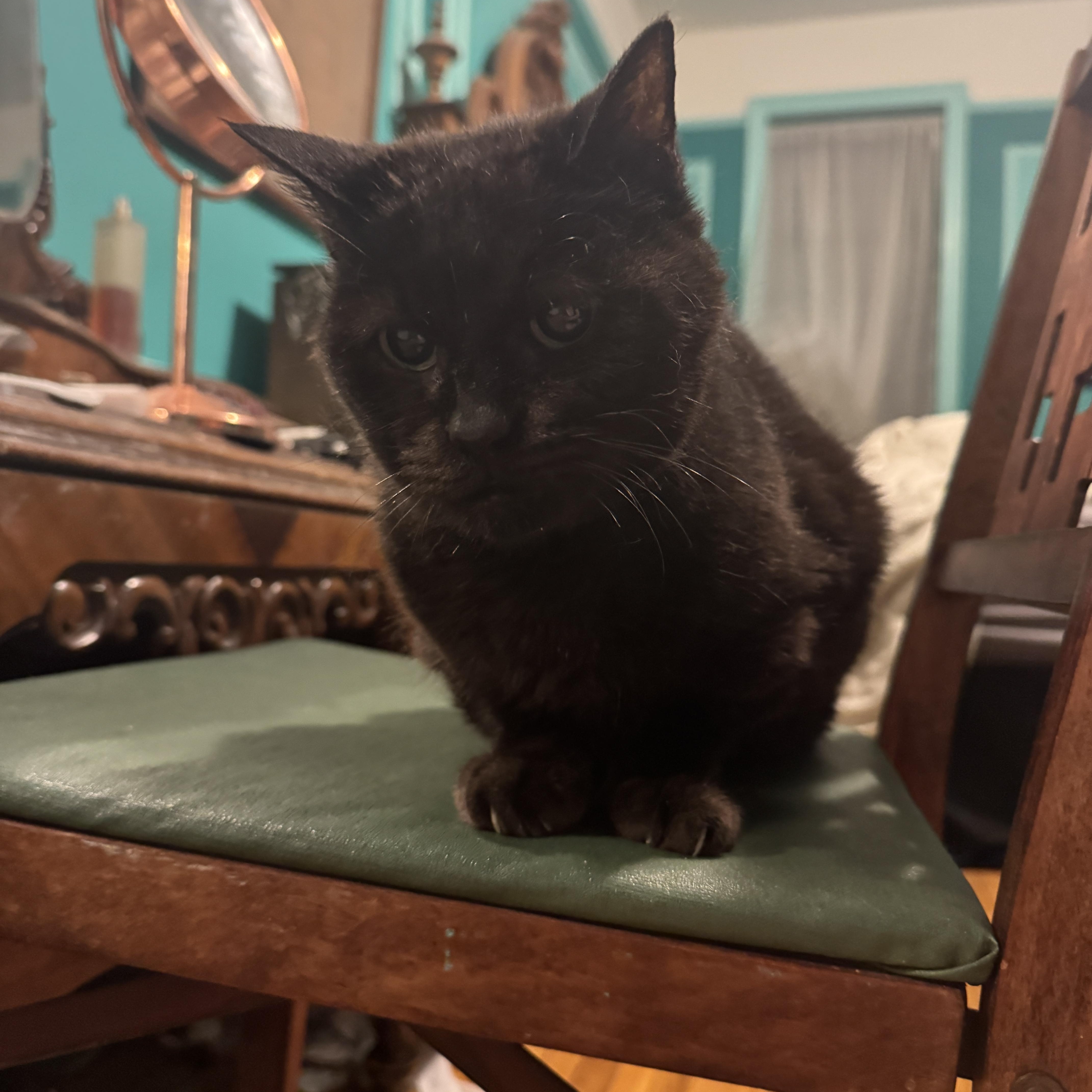 Milk Crate Courtesy Listing thumbnail 3