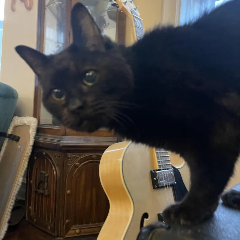 Milk Crate Courtesy Listing