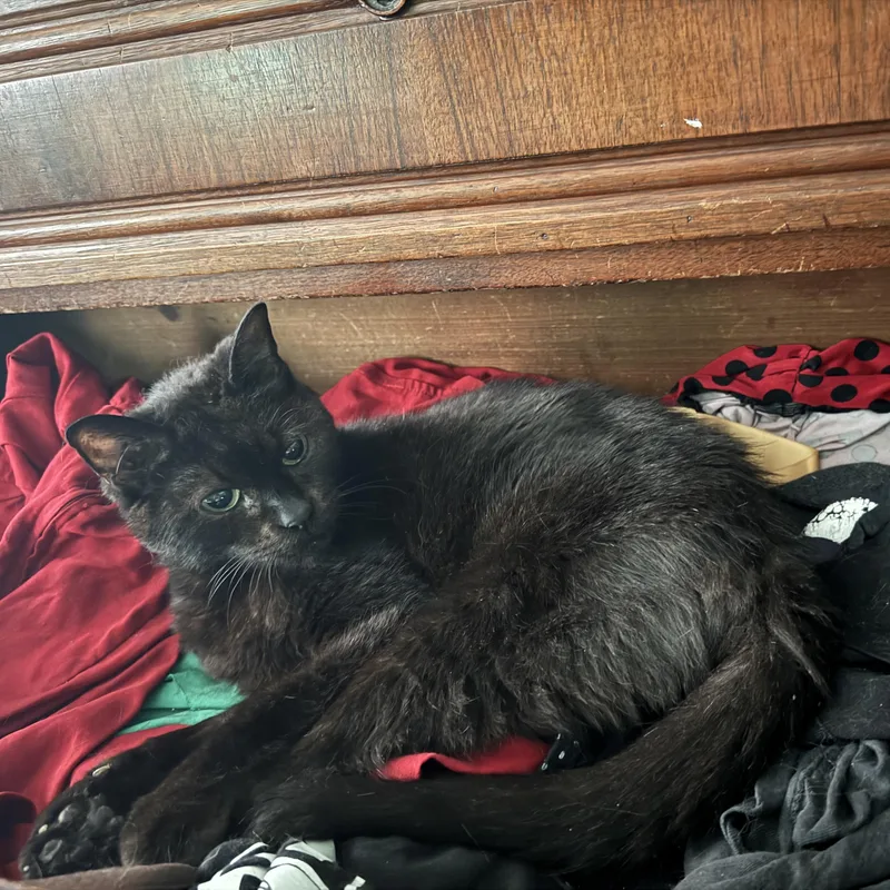 Milk Crate Courtesy Listing thumbnail 4