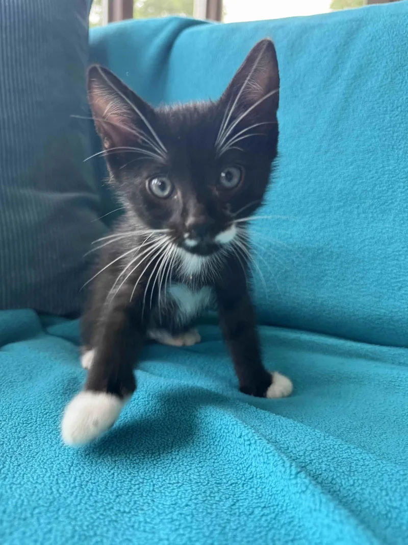 Bobby thumbnail 2