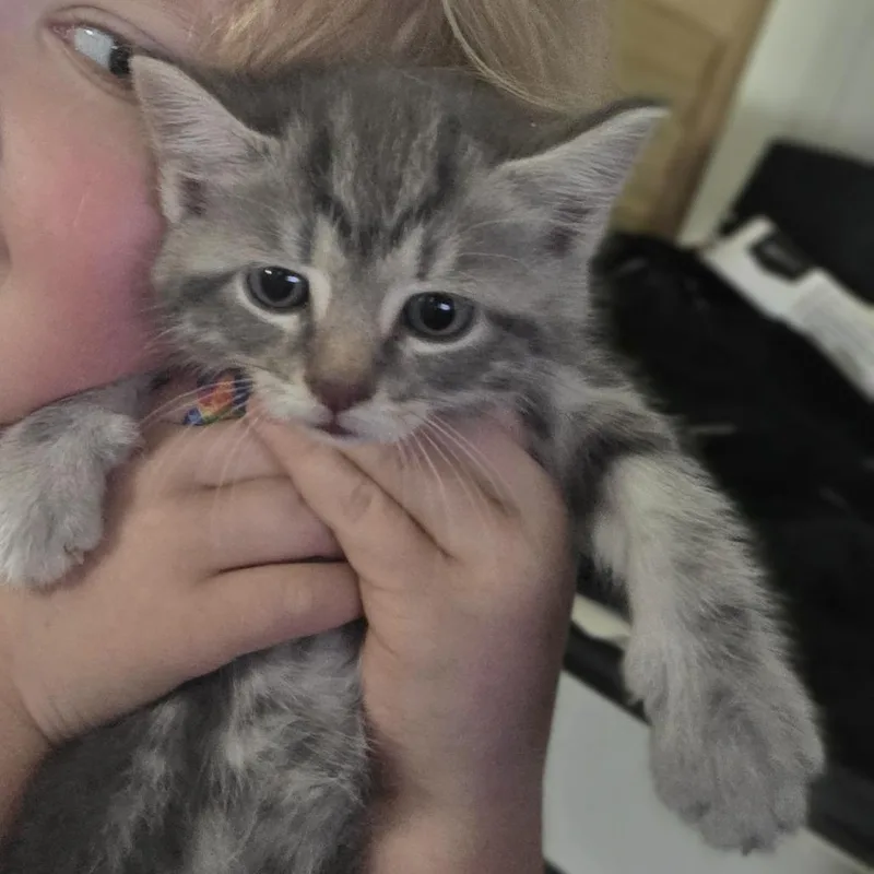 Dumpling thumbnail 2