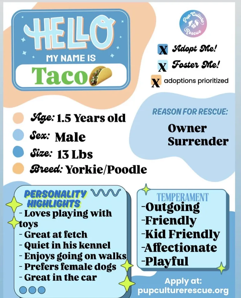 Taco thumbnail 2