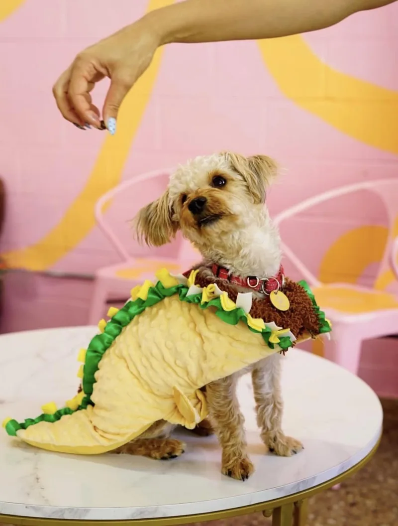 Taco thumbnail 3