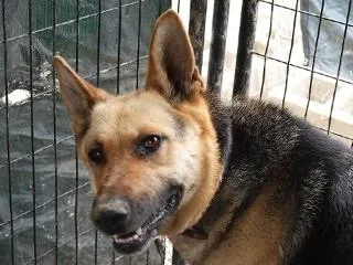 Tin Tin thumbnail 2