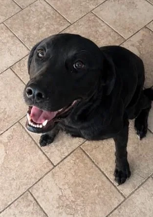 Bruce