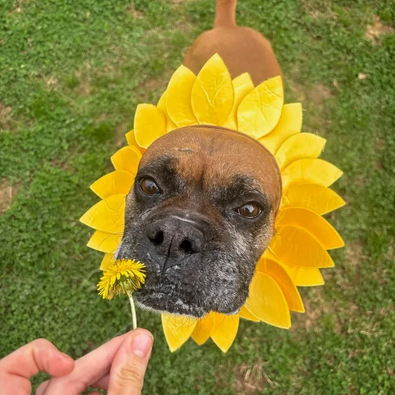 Mike Tyson thumbnail 5