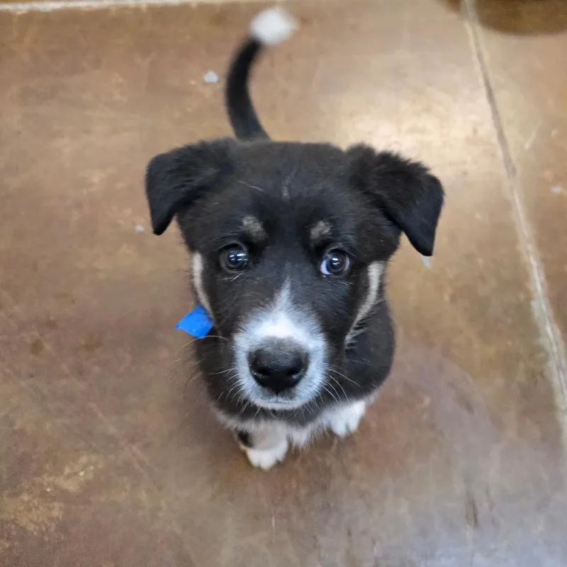 Mr. Clean thumbnail 3