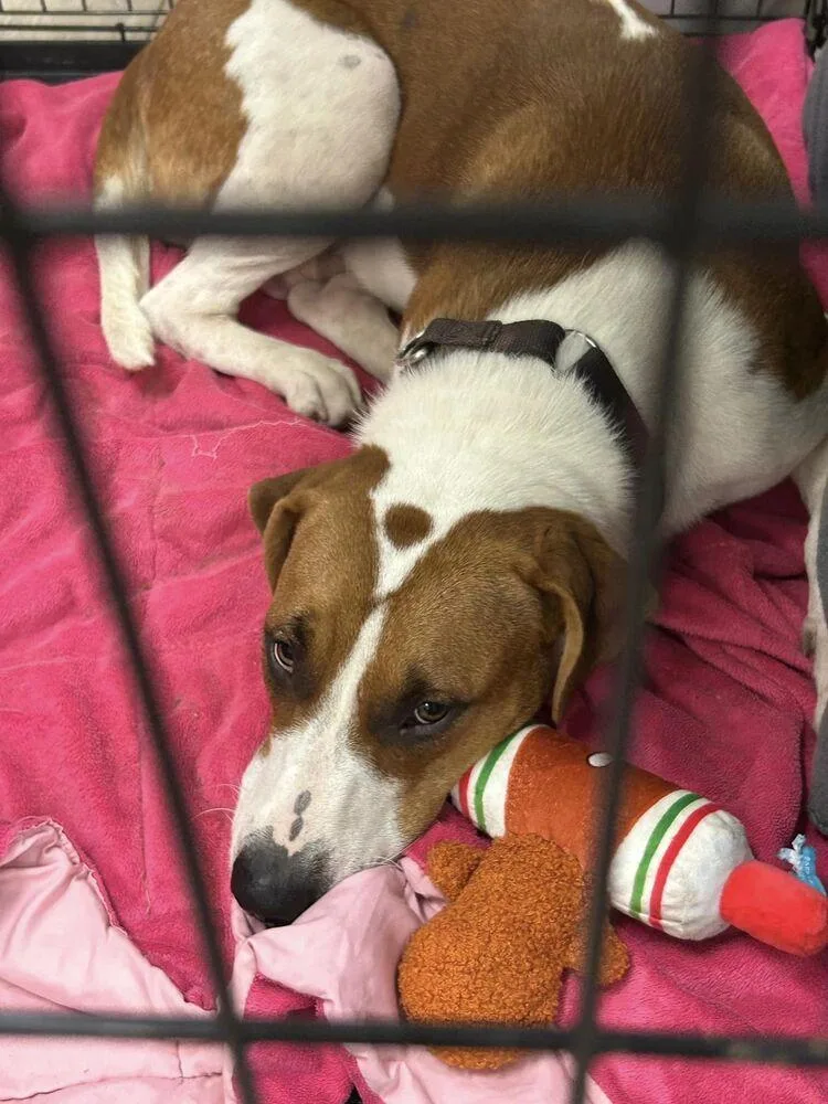 Solstice thumbnail 2