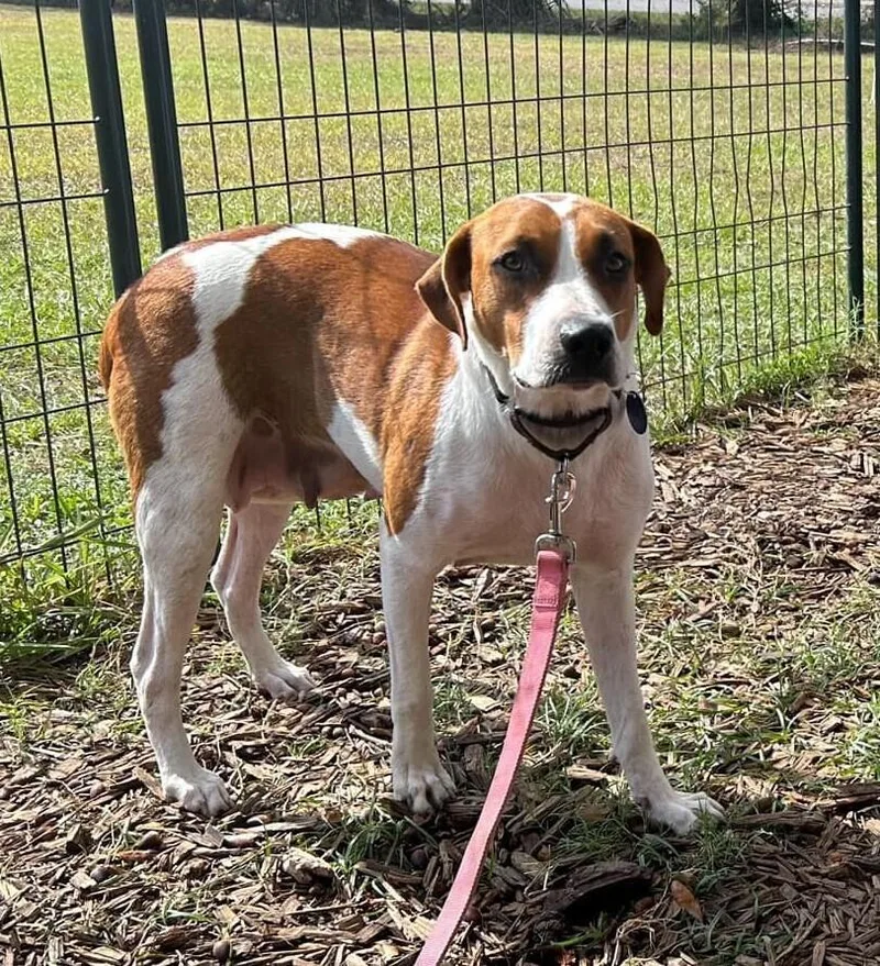 Solstice thumbnail 3