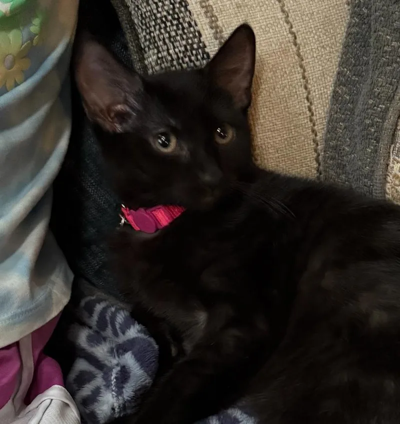 Florence & Myra thumbnail 3