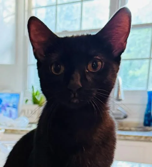 Florence & Myra thumbnail 4