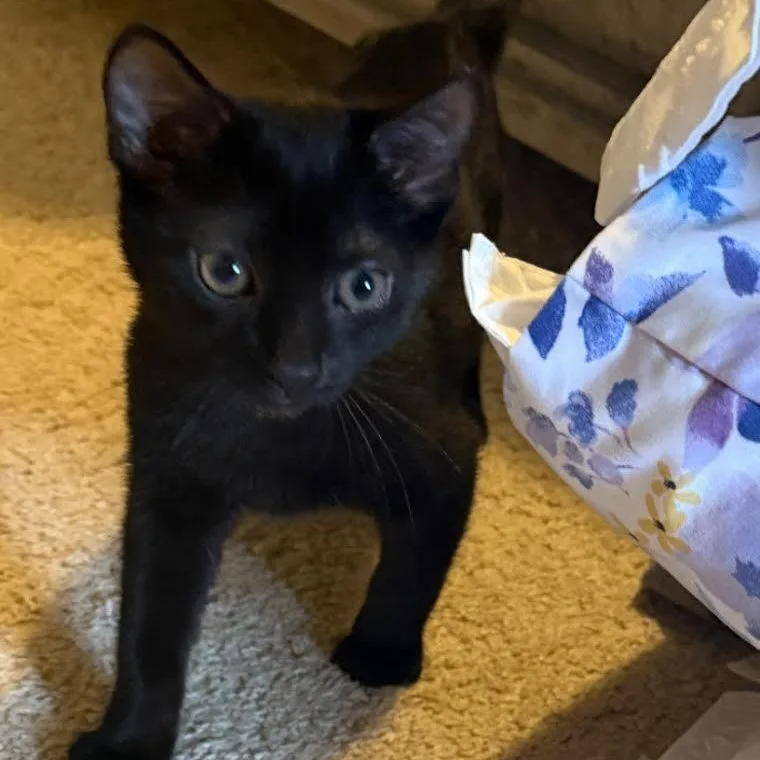 Florence & Myra thumbnail 5