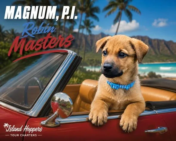 Robin Masters thumbnail 4