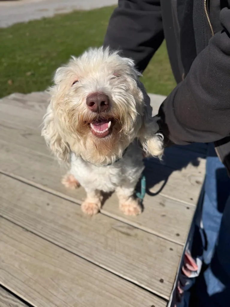 Charlie thumbnail 2
