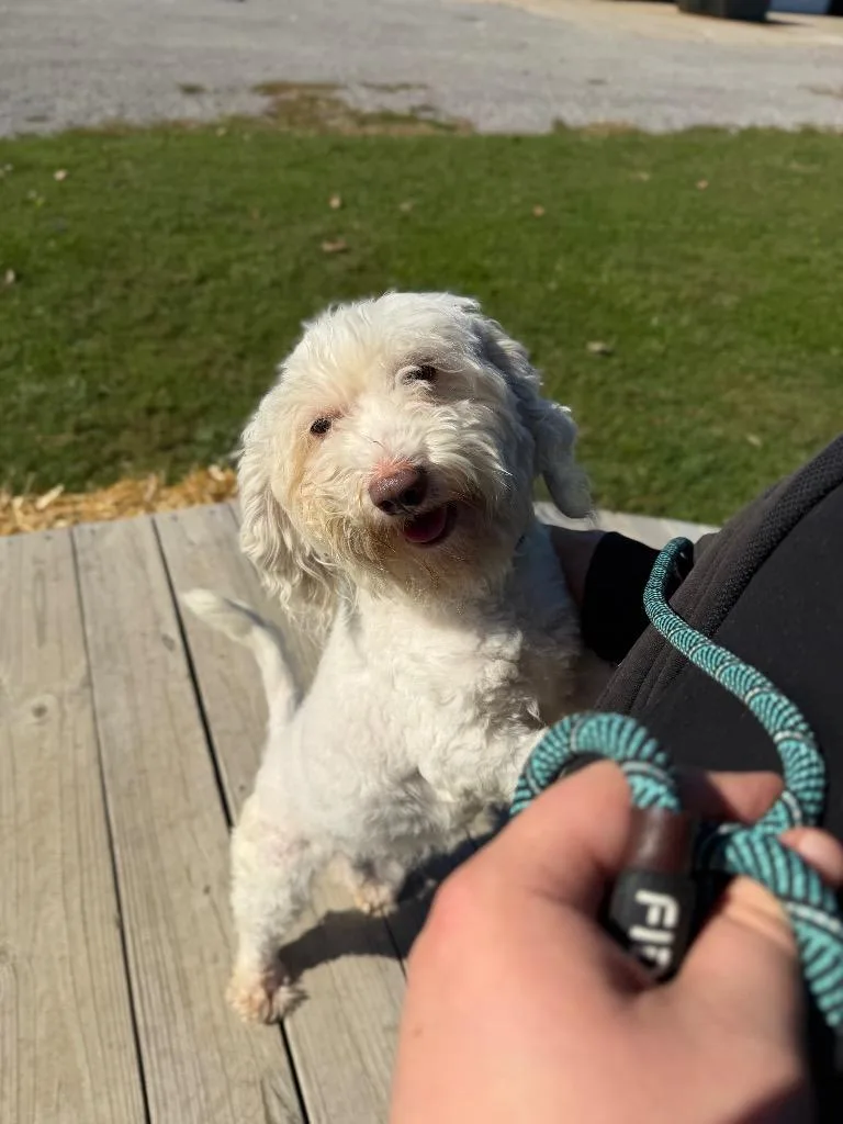 Charlie thumbnail 3