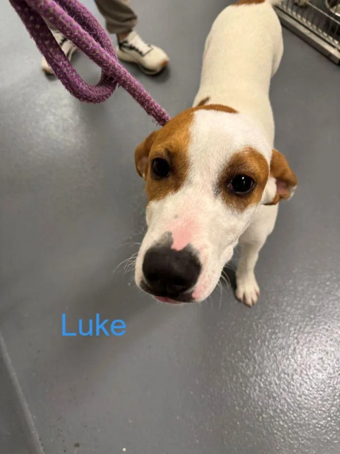 Luke