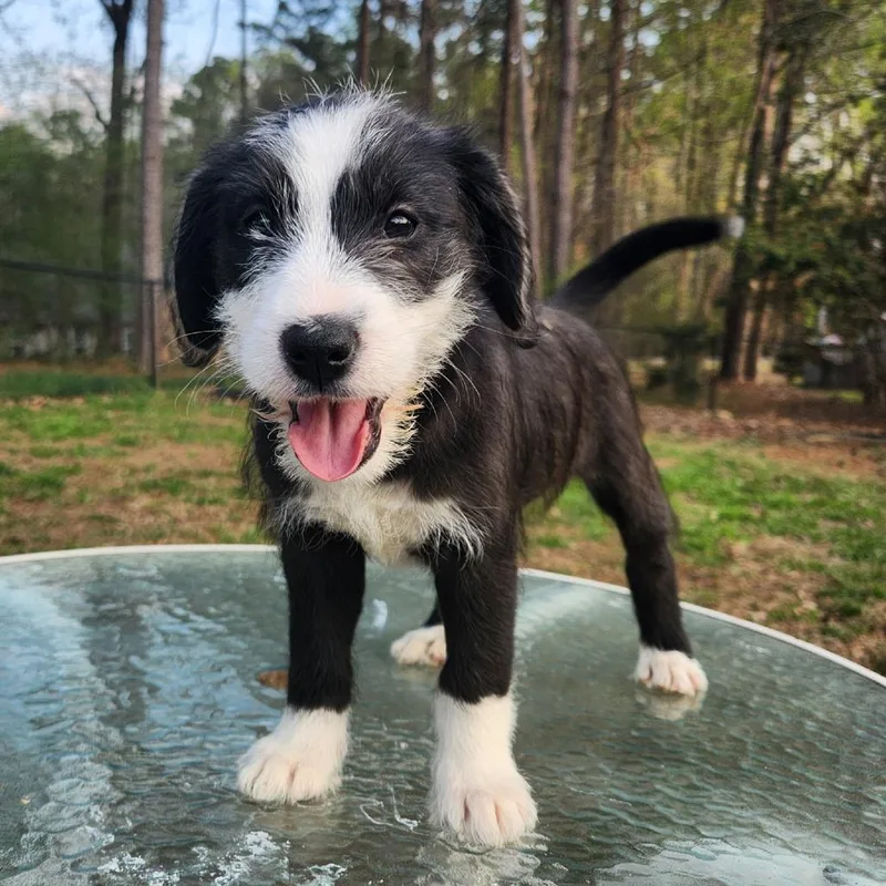 Pound Cake thumbnail 3