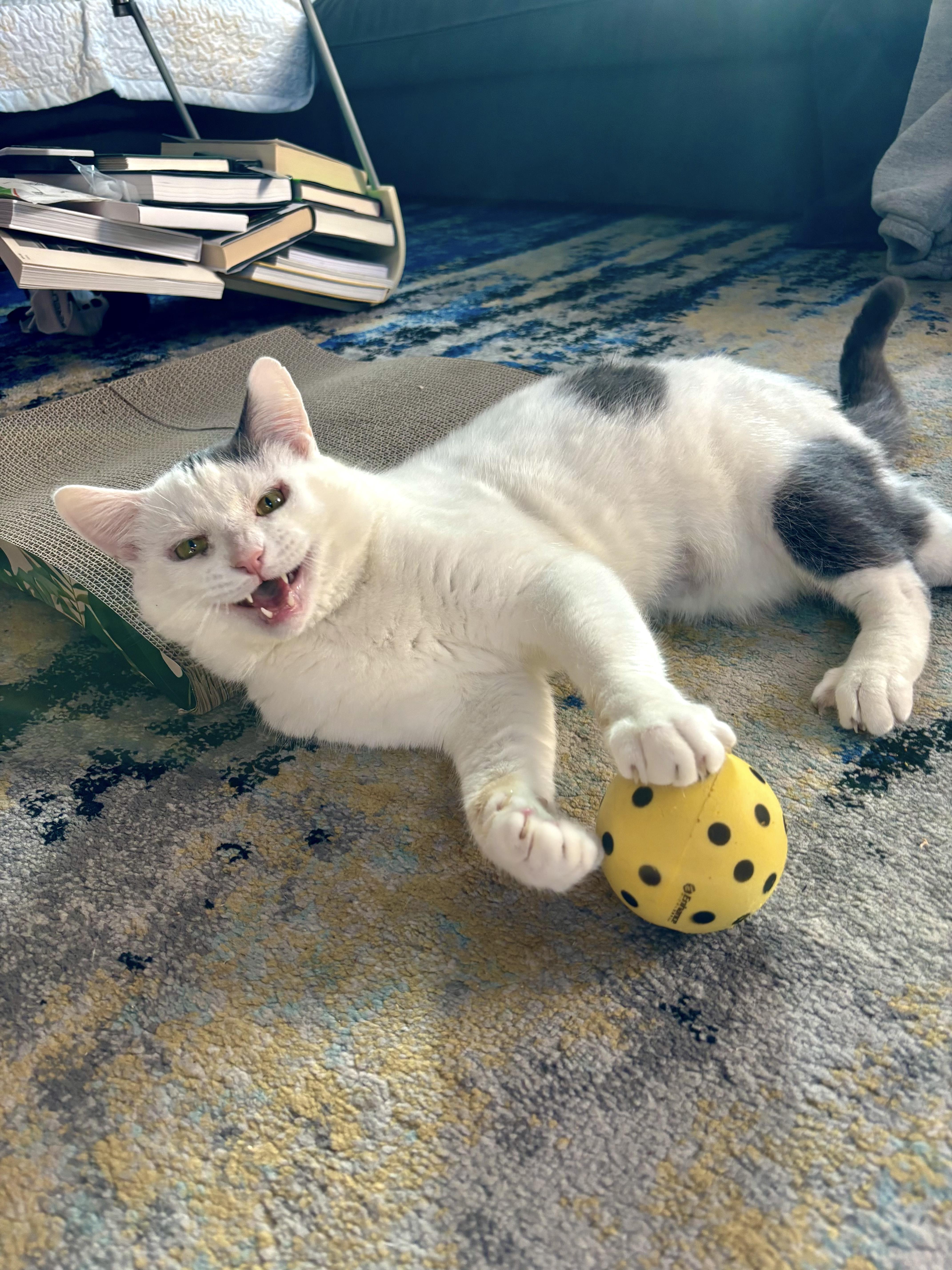 Stuffing thumbnail 2