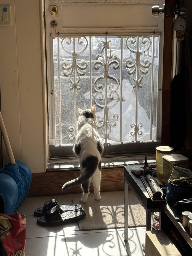 Stuffing thumbnail 5