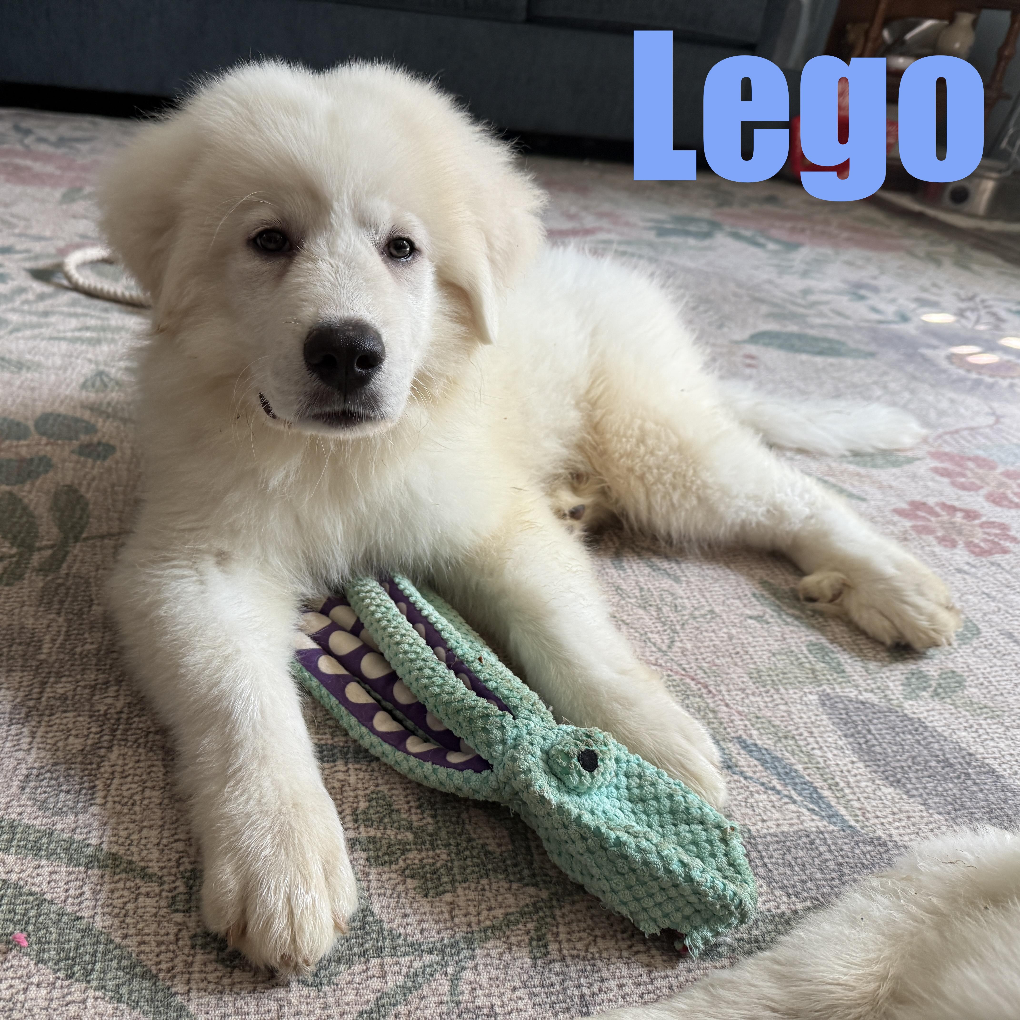 Lego thumbnail 4