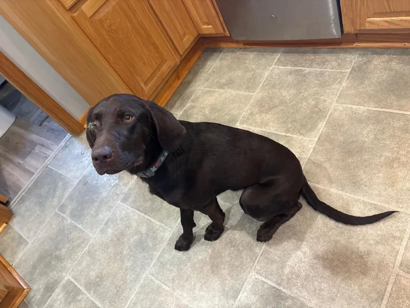 Aspen