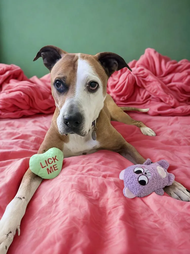 Rowdy Roo thumbnail 2