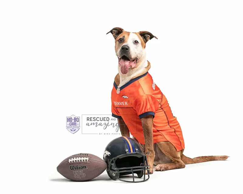 Rowdy Roo thumbnail 3