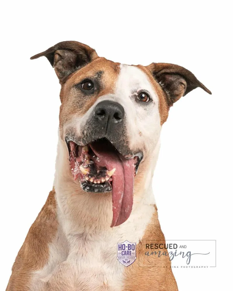 Rowdy Roo thumbnail 6