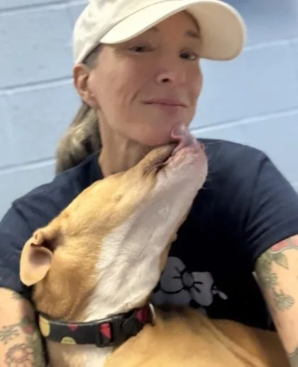 A baby small-sized female Mixed Breed dog named Merida for adoption in Chamblee, GA