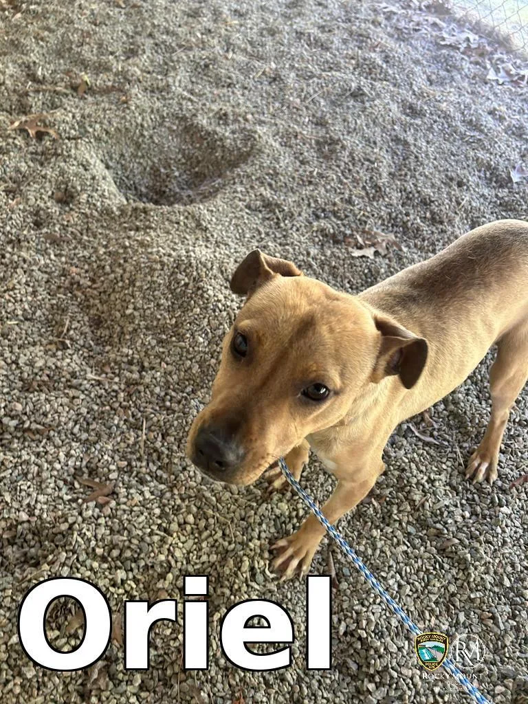 Oriel thumbnail 2