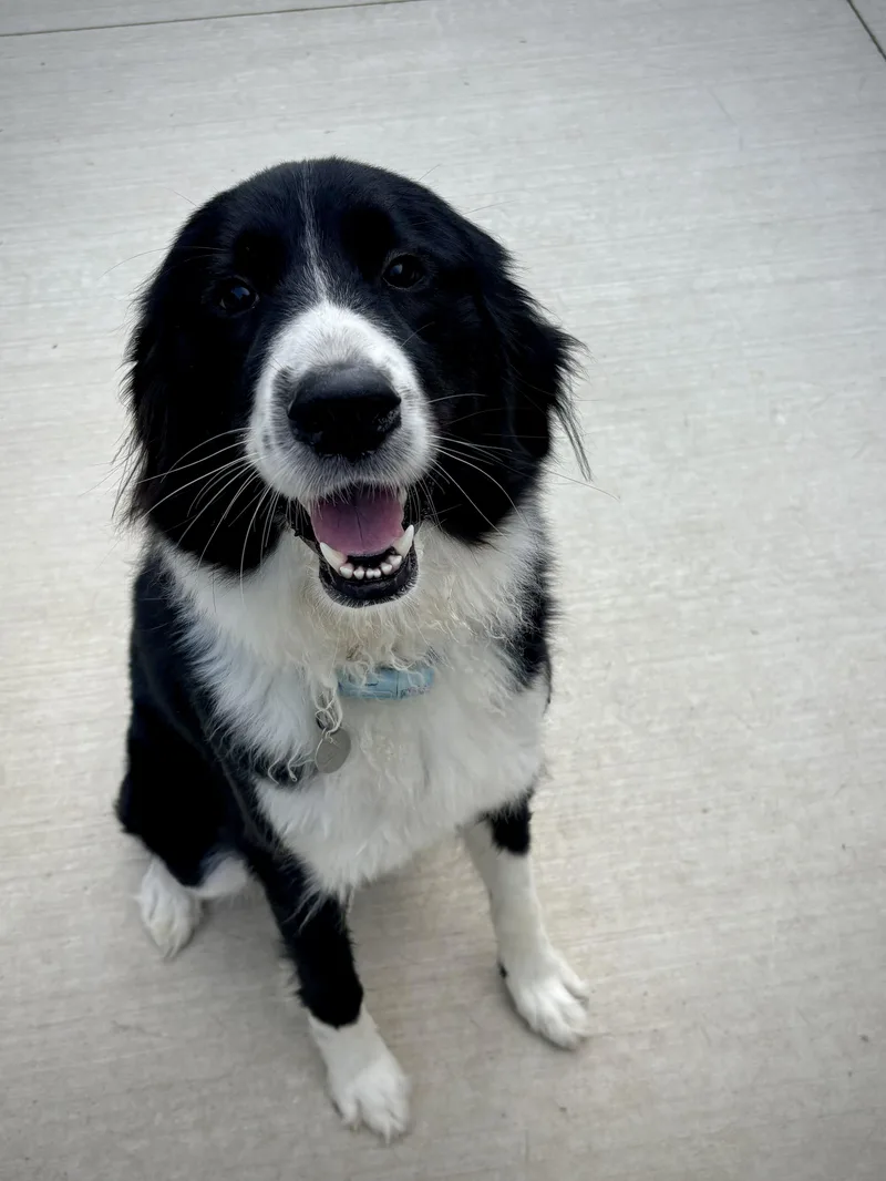 Sammie thumbnail 2