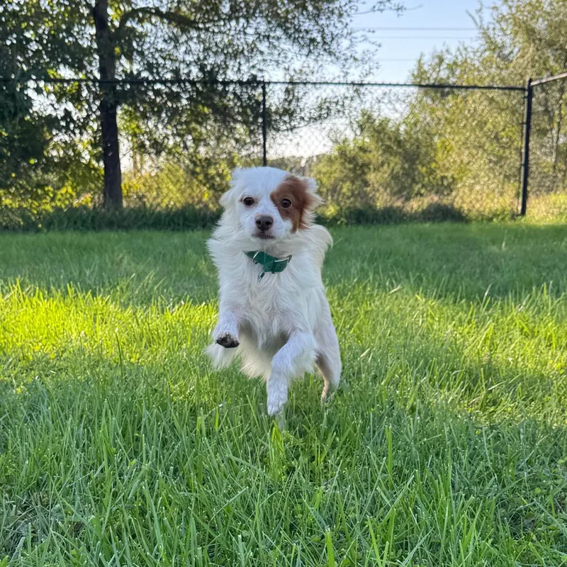 Ernie thumbnail 6