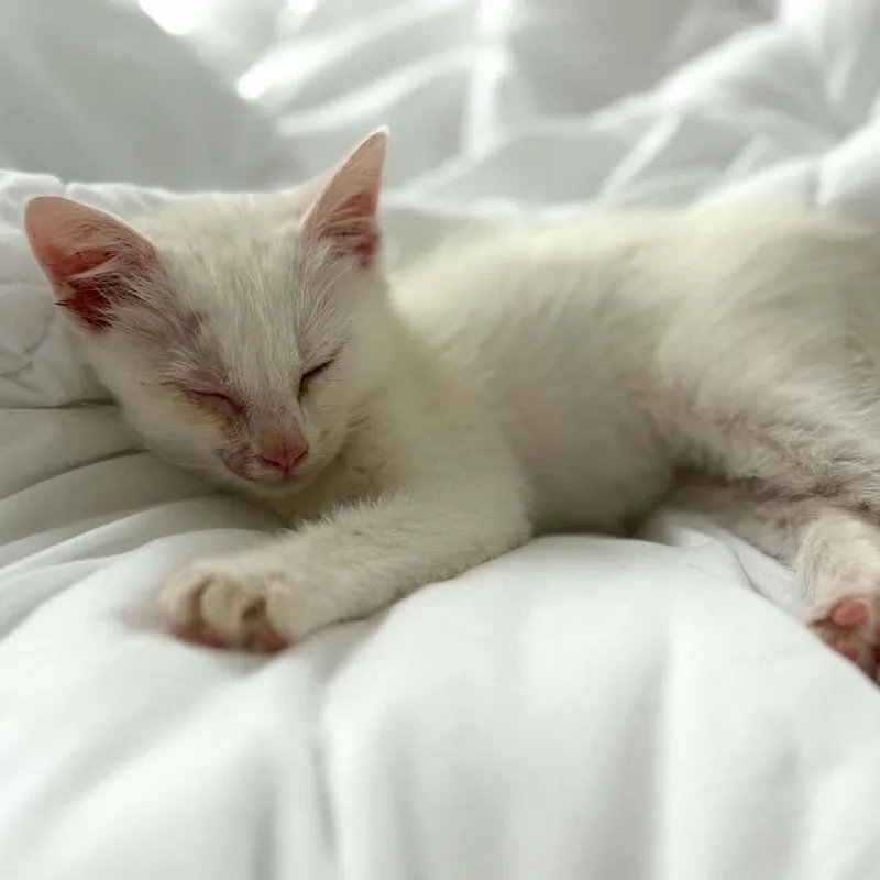 Yuki thumbnail 6