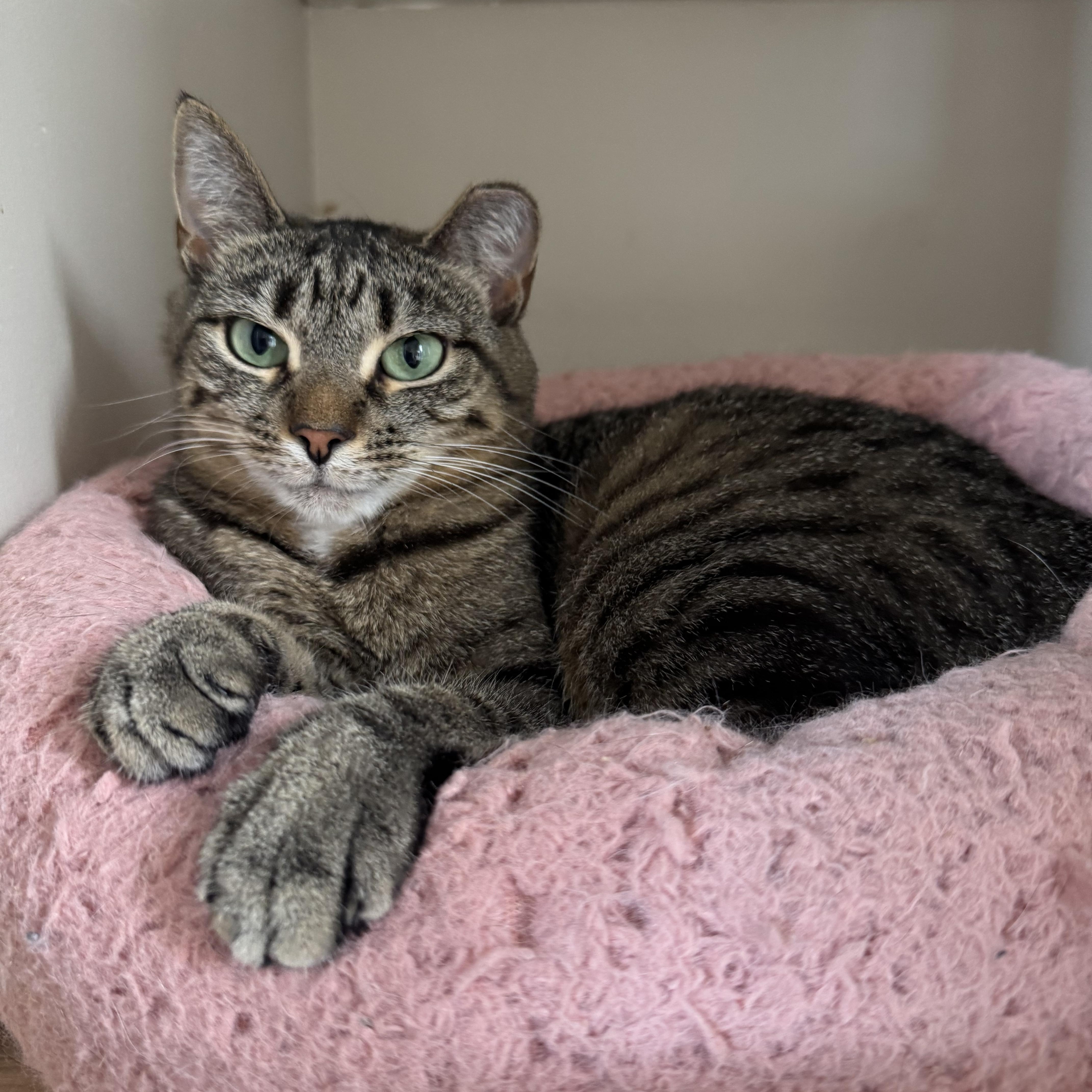 Shrek & Fiona  thumbnail 3