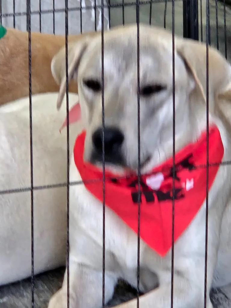 Leah thumbnail 5
