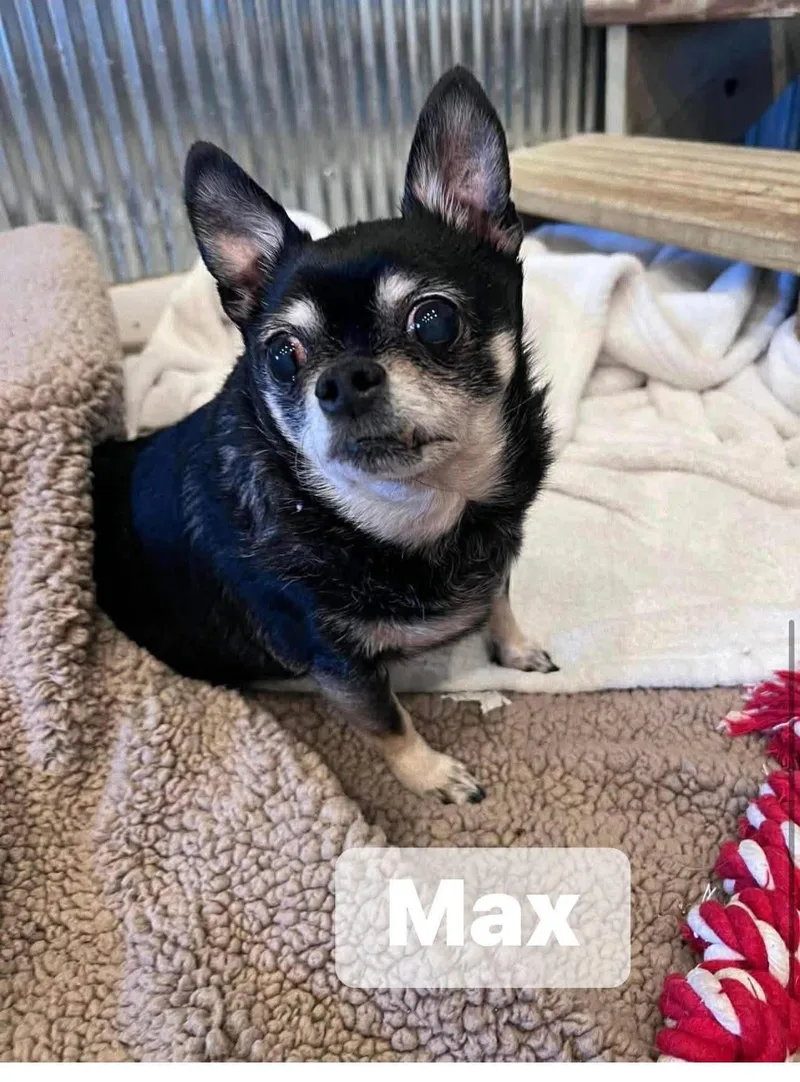 Max thumbnail 2