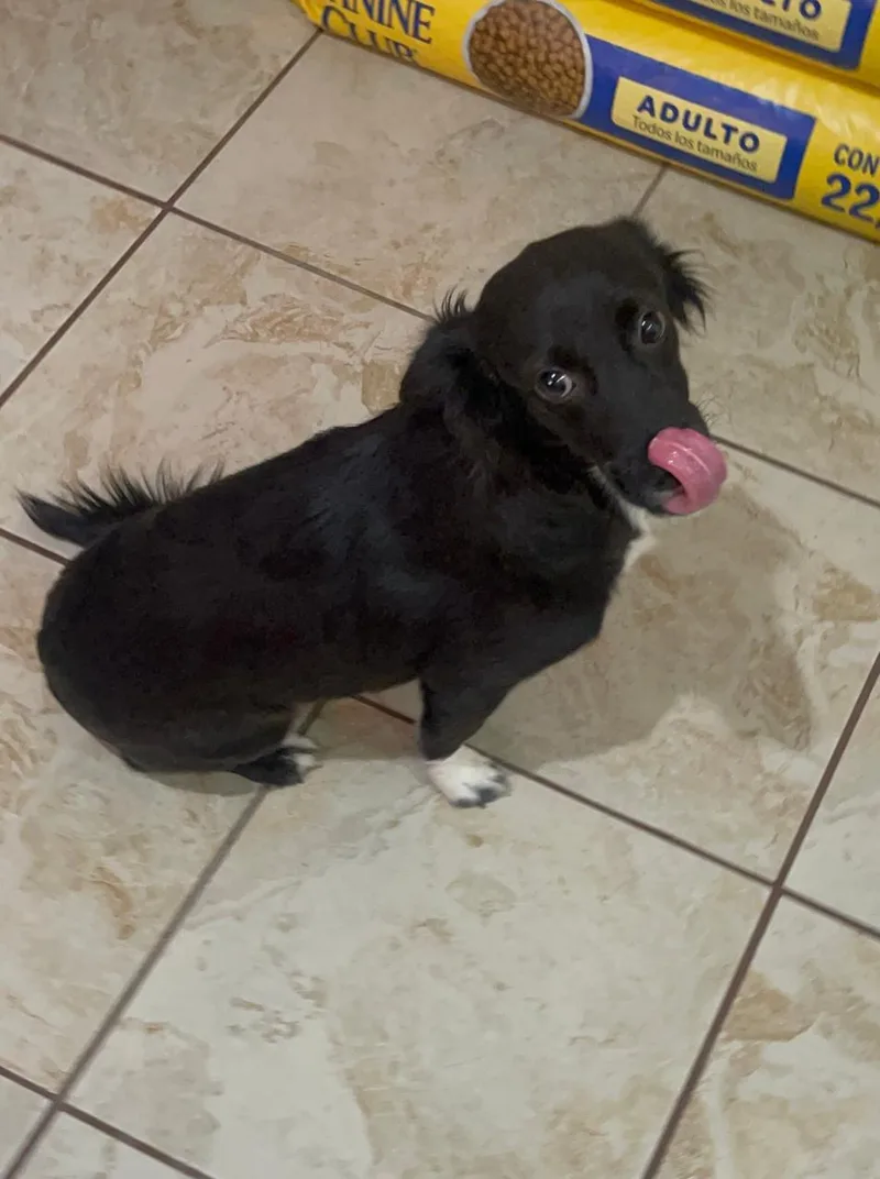Atom