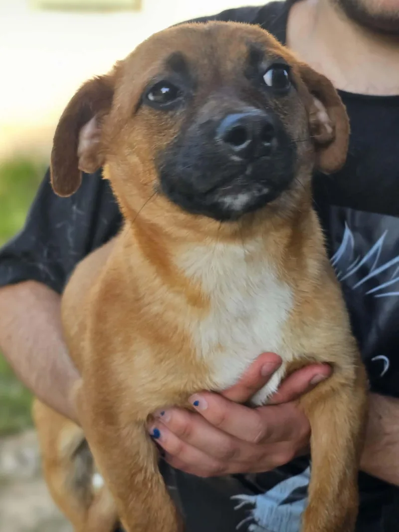 Channing thumbnail 2