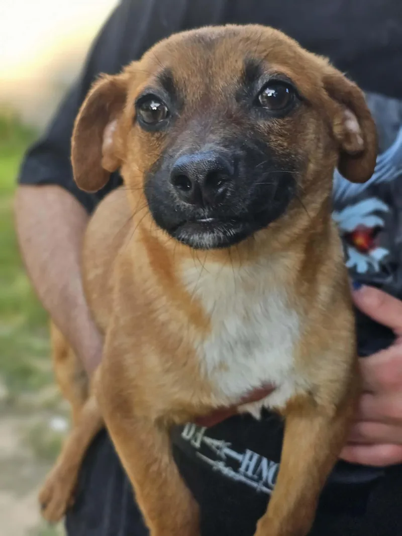 Channing thumbnail 3