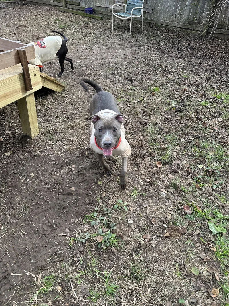 Walthall thumbnail 2