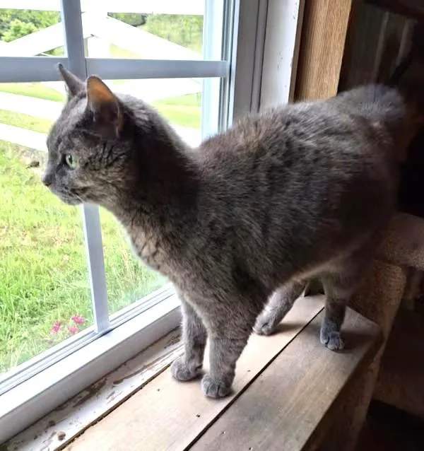 Jen  Sponsored thumbnail 3