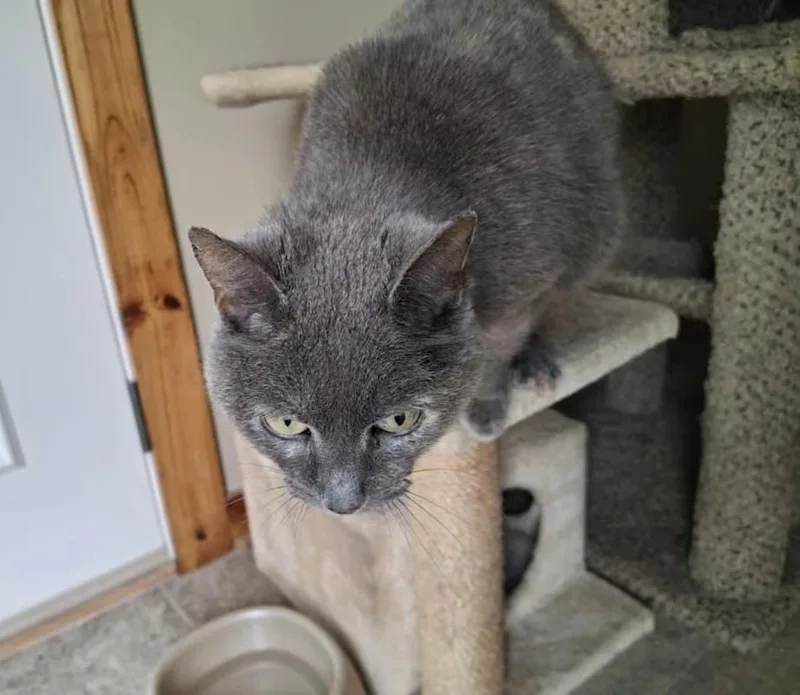 Jen  Sponsored thumbnail 4