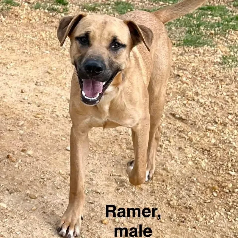 Ramer