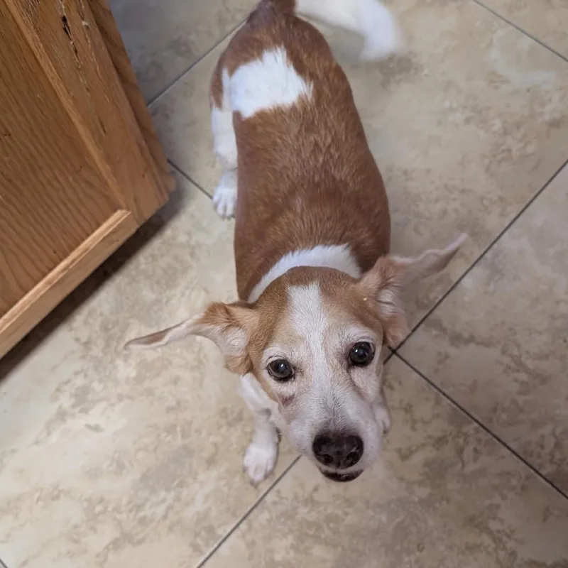 Fiona