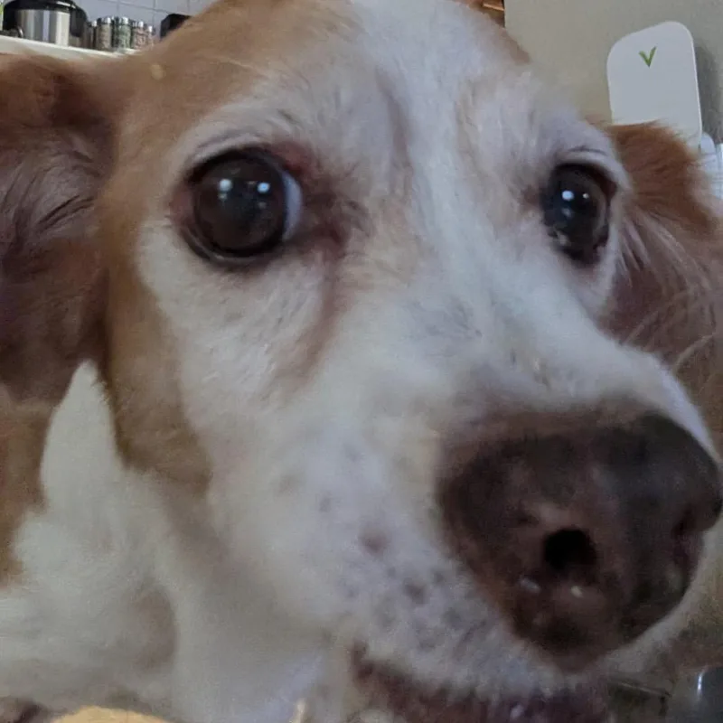 Fiona thumbnail 3