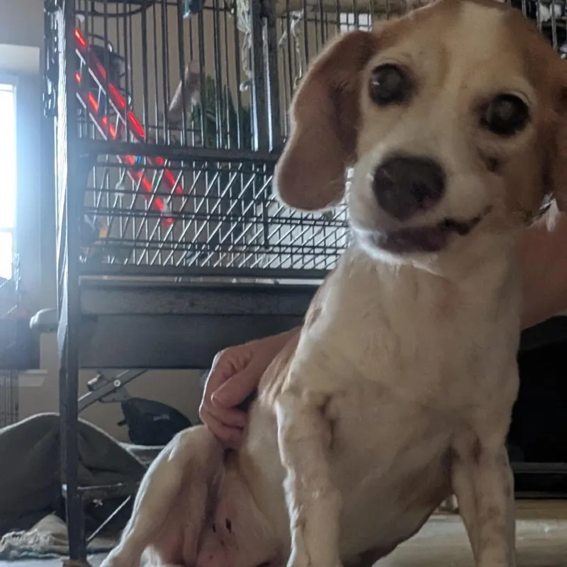 Fiona thumbnail 4