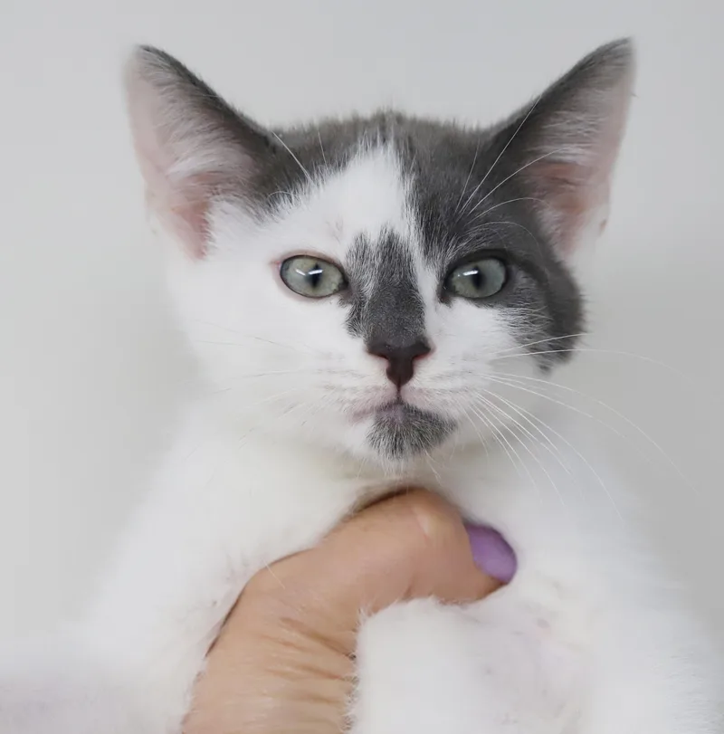 Eddie is EPIC  thumbnail 2